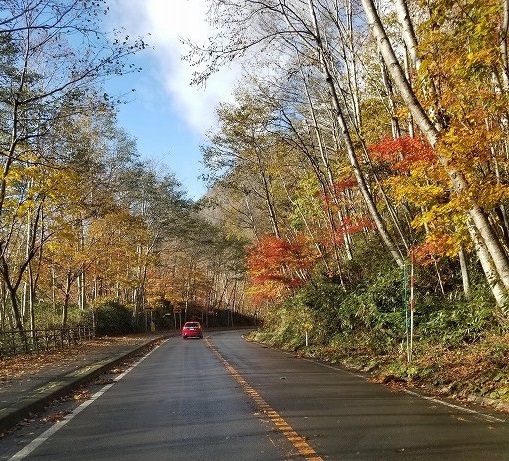 c0351262_20424656.jpg