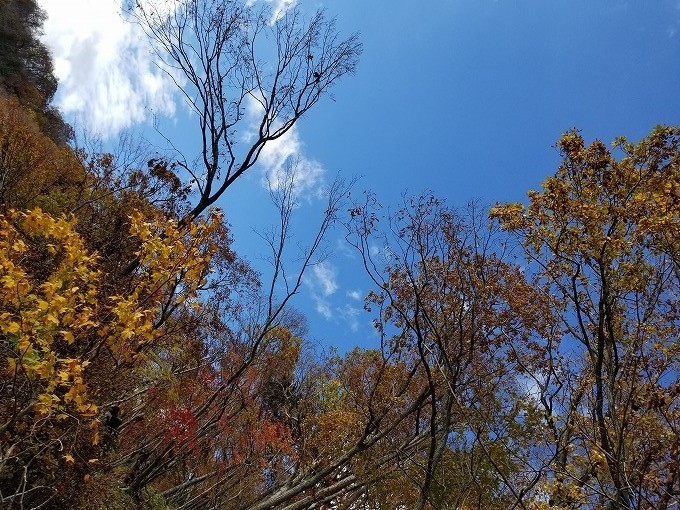 c0351262_20443446.jpg