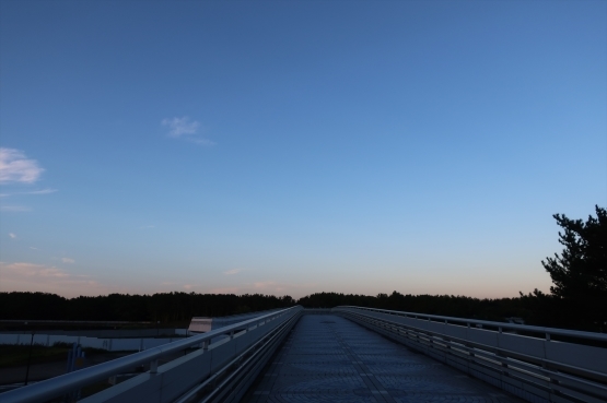 d0028665_21520003.jpg