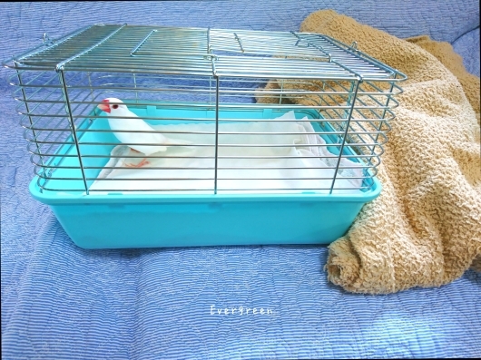 半径3kmで(@_@)。。。【10/26(金)大切な人たち】_d0362666_17082665.jpg