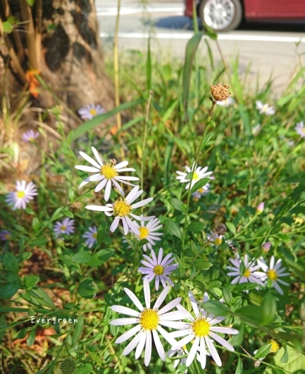 半径3kmで(@_@)。。。【10/26(金)大切な人たち】_d0362666_17095106.jpg