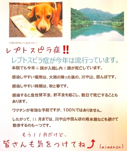 半径3kmで(@_@)。。。【10/26(金)大切な人たち】_d0362666_17103502.jpg