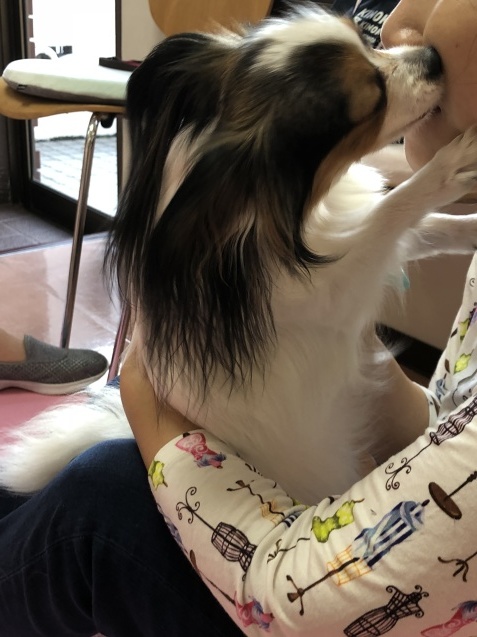 歯みがき教室(2018・10・28)_e0367571_16593146.jpg