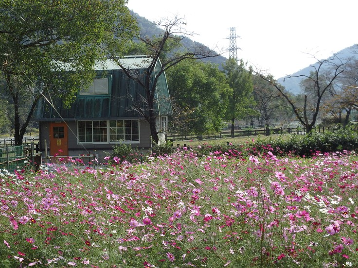 d0054276_20221145.jpg