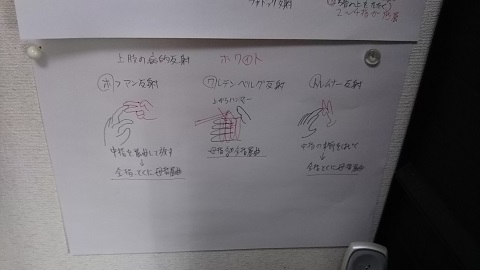 上肢と下肢の病的反射をおぼえてみた ウンノ接骨院 ウンノ整体 と静岡の夜 上肢と下肢の病的反射をおぼえてみた ウンノ接骨院 ウンノ整体 と静岡の夜