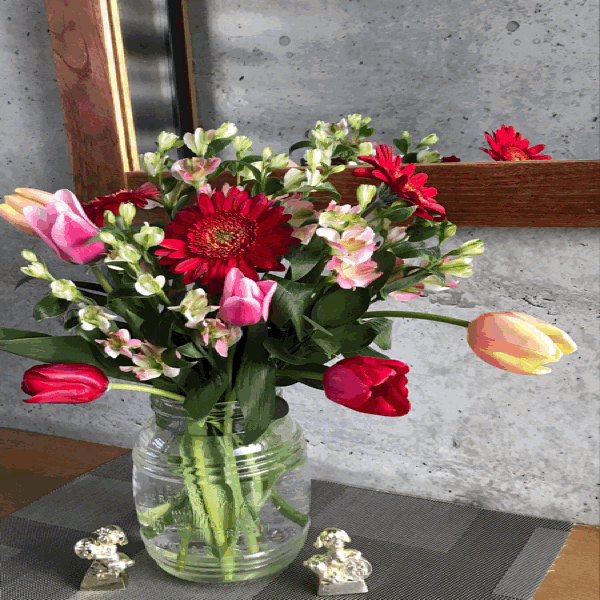 c0156981_06235451.gif
