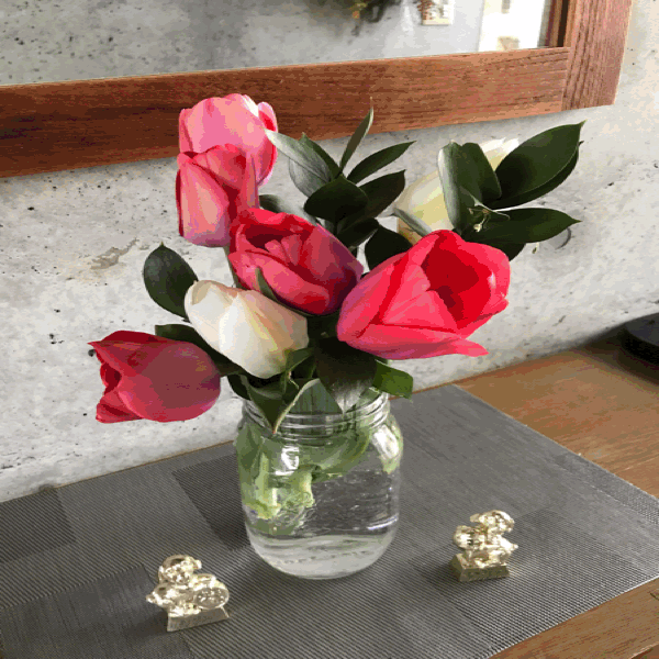 c0156981_06333207.gif