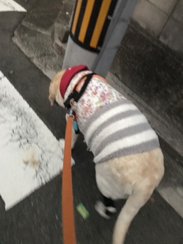 f0315081_17554090.jpeg
