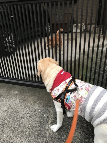 f0315081_20011186.jpeg