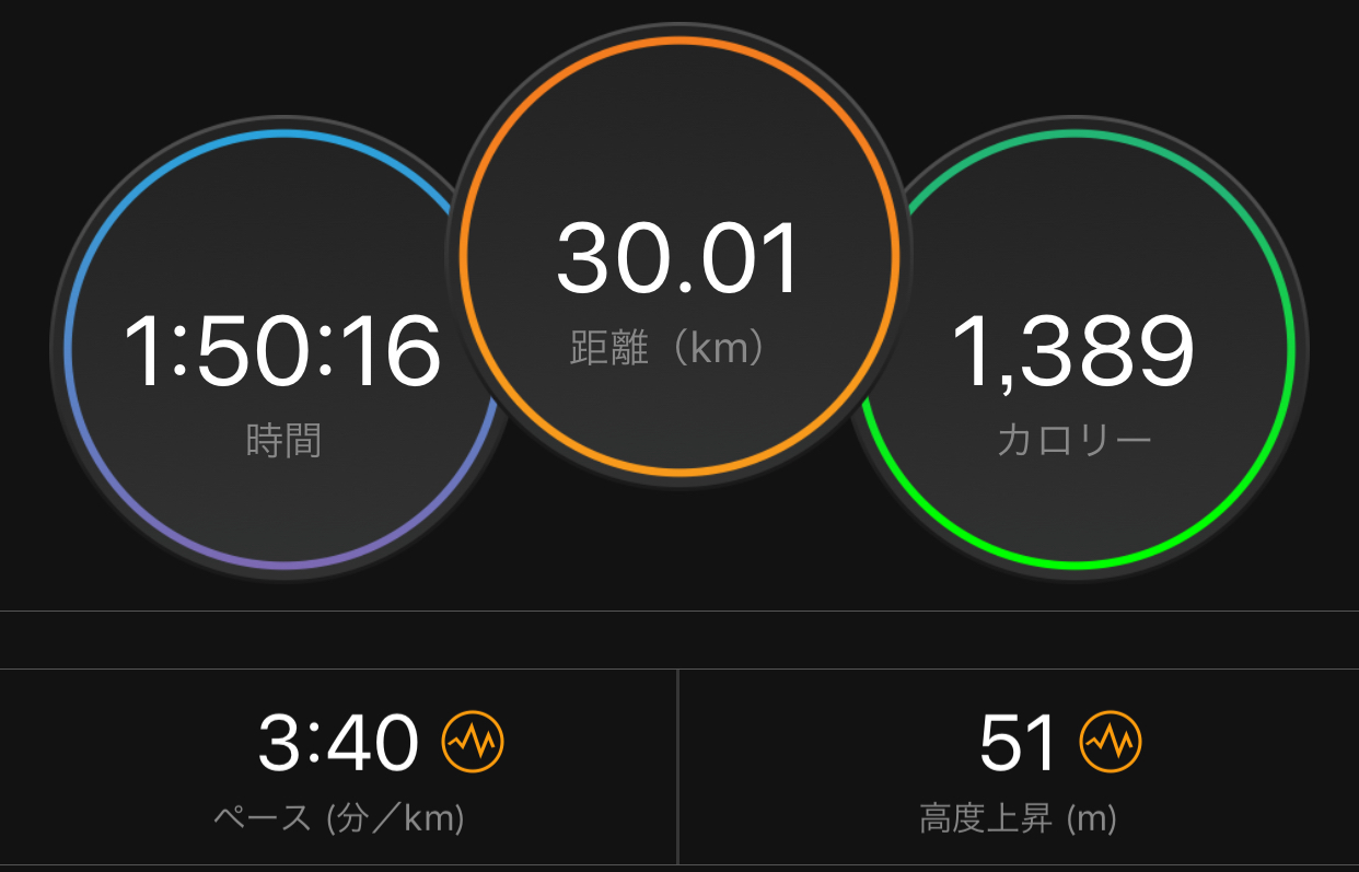 【出撃!】ヴェイパーフライ フライニット 30km走_f0310282_17565666.jpeg