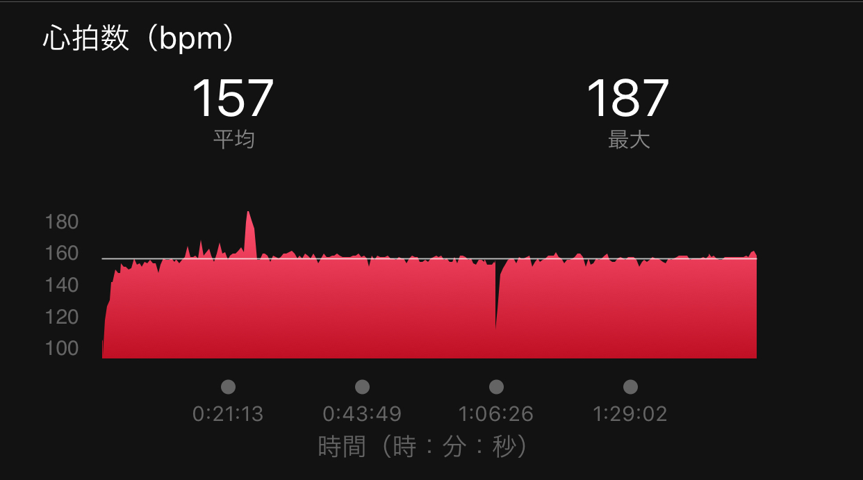【出撃!】ヴェイパーフライ フライニット 30km走_f0310282_17572268.jpeg