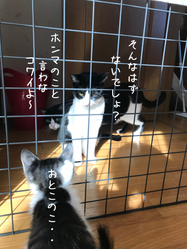 a0216583_22042834.png