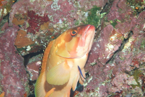 c0270286_18470581.jpg