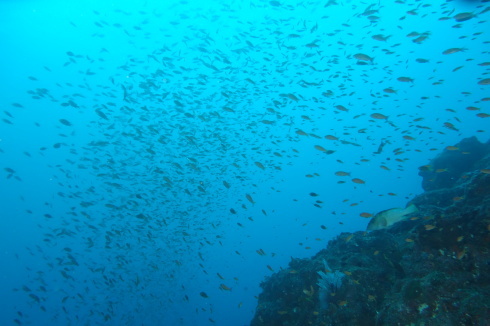 c0270286_18471168.jpg