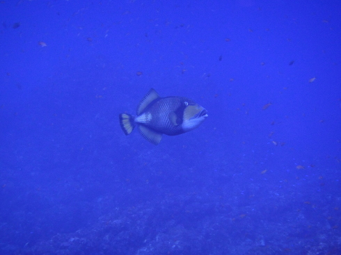 c0270286_18534358.jpg
