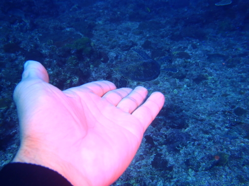 c0270286_18540652.jpg