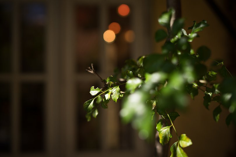 Autumn Light And Shadow At A Pizzeria_d0353489_21152597.jpg