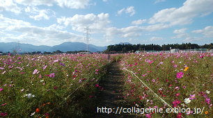 a0223701_08250063.png