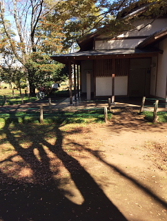 c0039501_18085080.jpeg