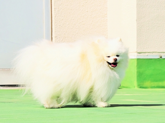 調子が良い日_d0360206_01330291.jpg
