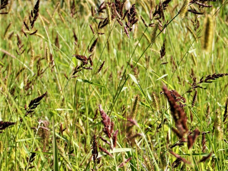 d0389007_21040432.jpg