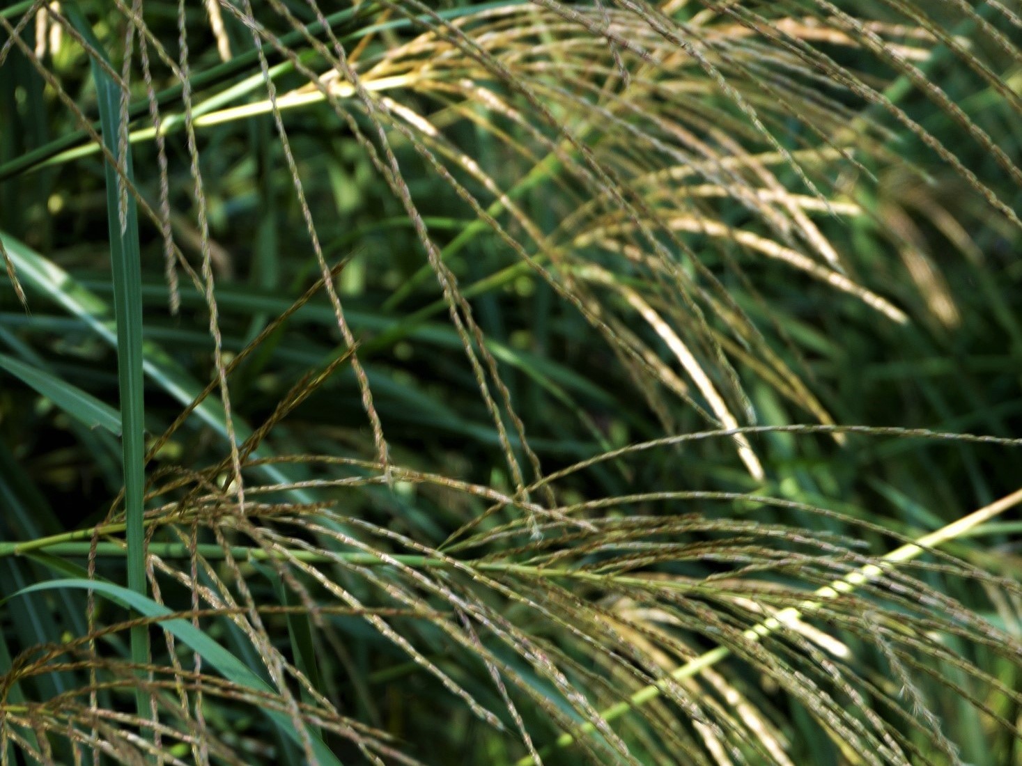 d0389007_21040918.jpg