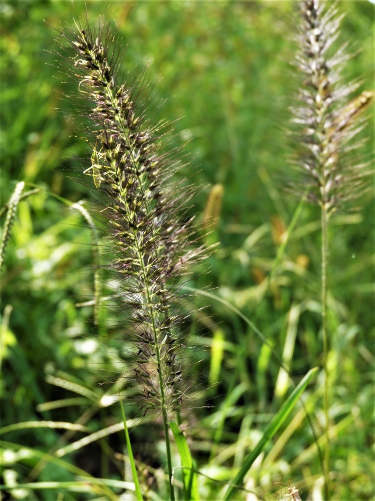 d0389007_21042456.jpg