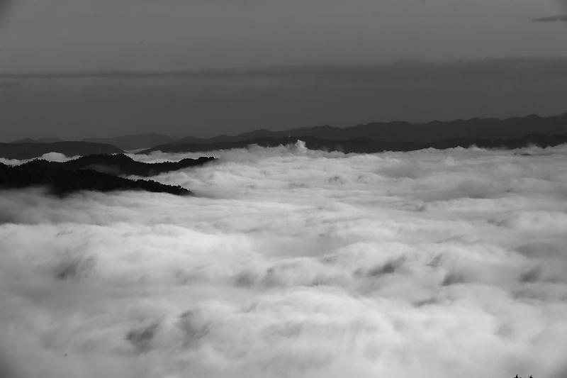 雲海@亀岡霧のテラス_f0032011_20103328.jpg