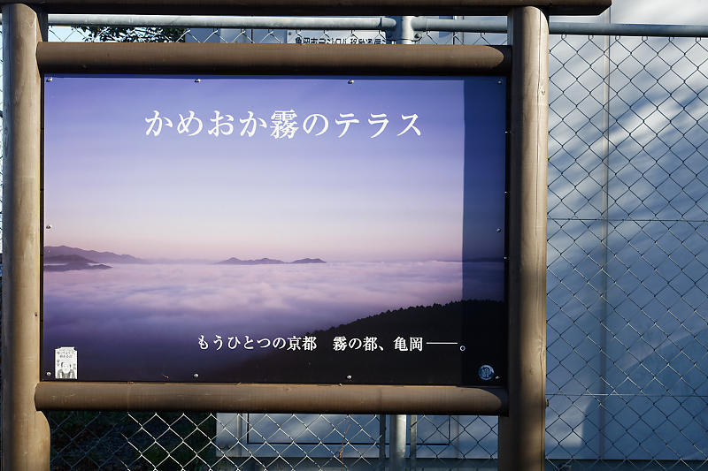 雲海@亀岡霧のテラス_f0032011_20103466.jpg