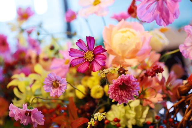 秋の装花 10月 如水会館様へ コスモスと秋の実のバスケットの卓上装花 一会 ウエディングの花