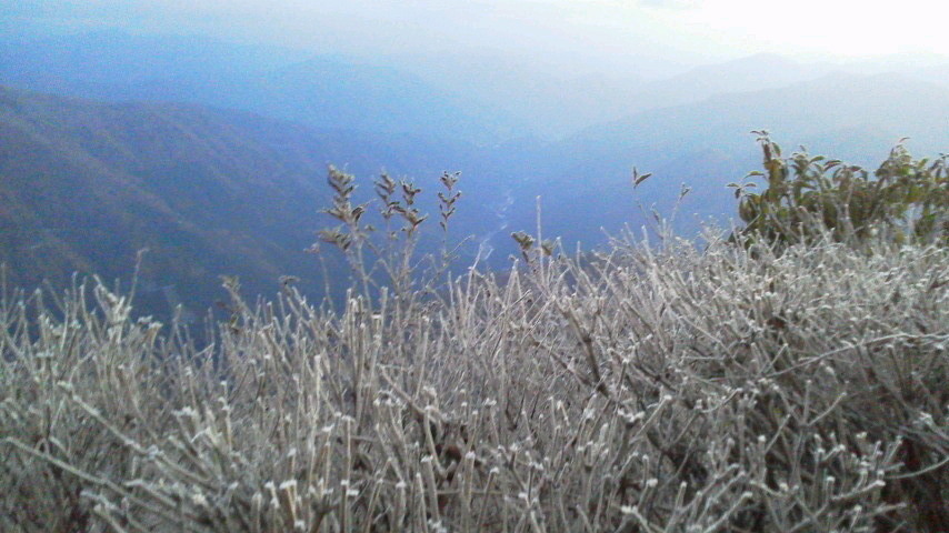 10月28日(日)朝の気温−2℃。大霜。_c0089831_1703050.jpg