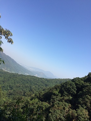 f0371533_14044695.jpg