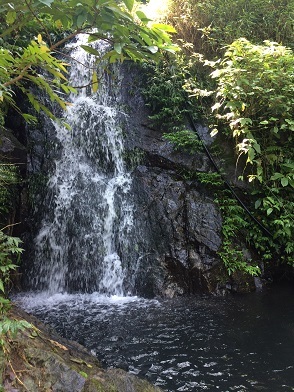 f0371533_14074598.jpg