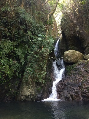 f0371533_14150886.jpg