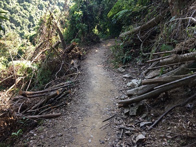 f0371533_14151783.jpg