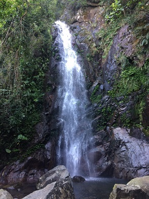 f0371533_14152995.jpg