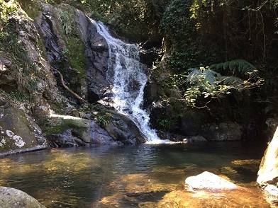 f0371533_14155644.jpg