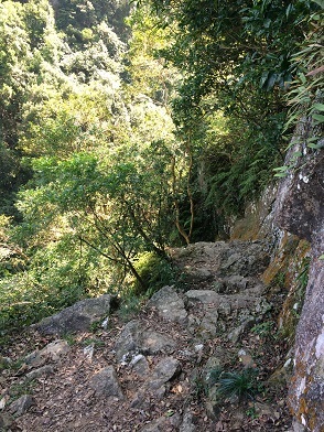 f0371533_14164309.jpg