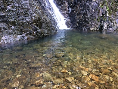 f0371533_14170758.jpg