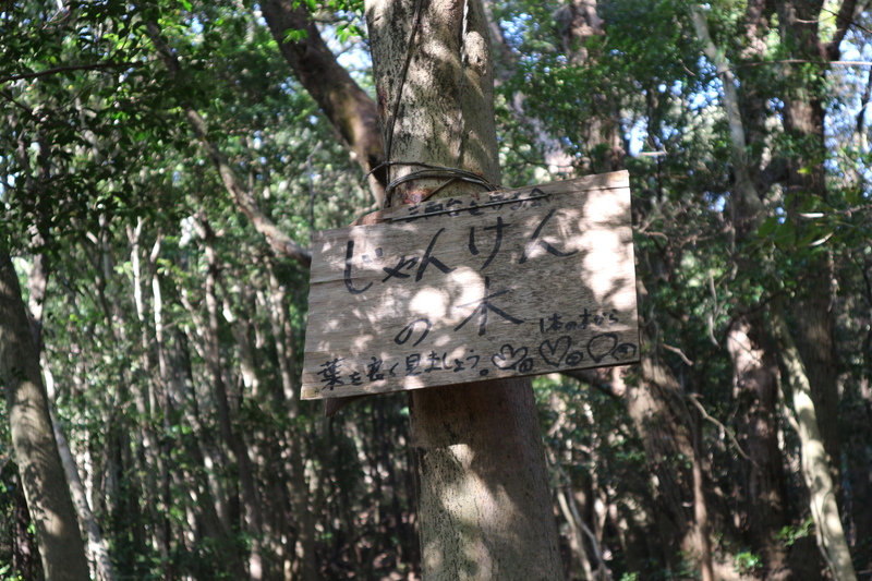 e0272335_1931462.jpg