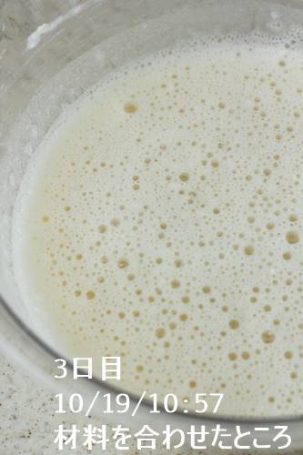 ホップ種 種起こしの記録 前編 Takacoco Kitchen ホップ種 種起こしの記録 前編 Takacoco Kitchen