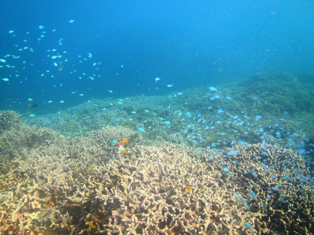a0189838_07110338.jpg