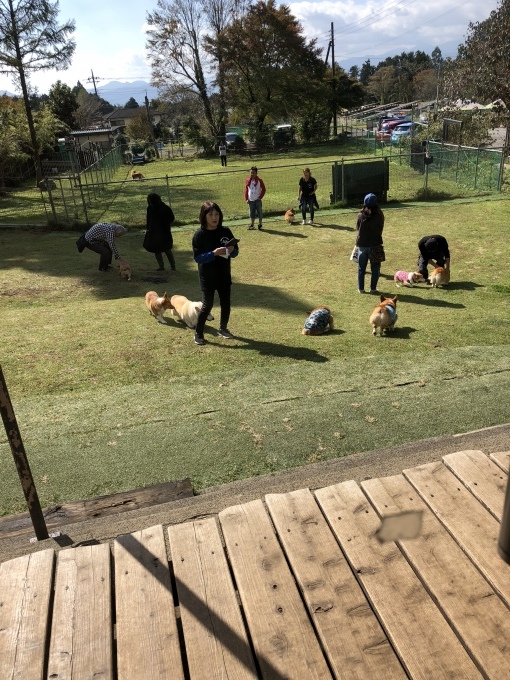b0369239_16325144.jpeg