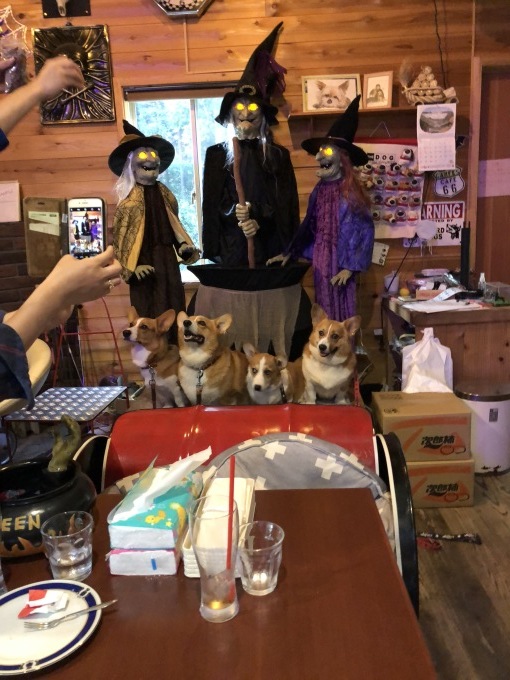 b0369239_16342064.jpeg