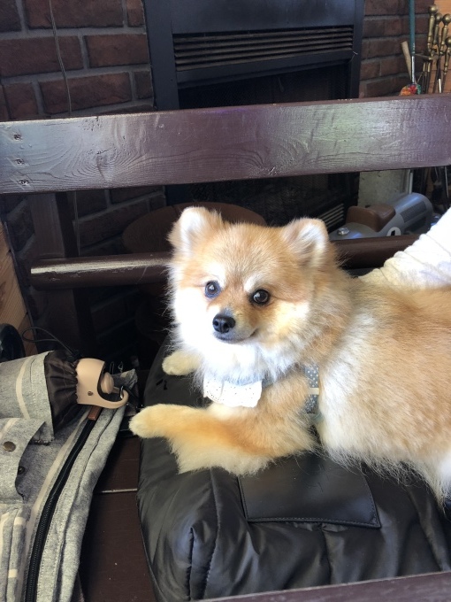 b0369239_16344081.jpeg