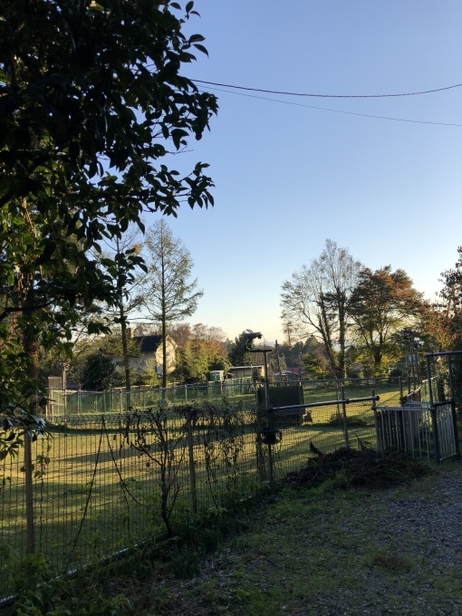 b0369239_16355875.jpeg