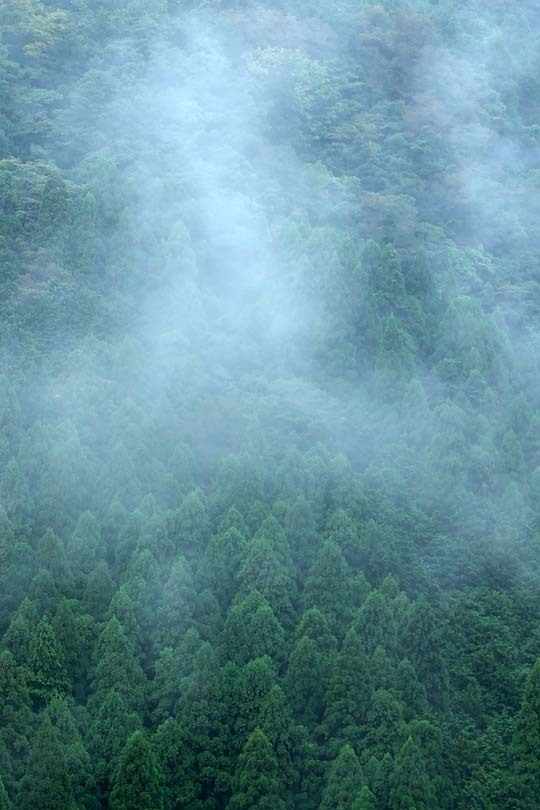 c0067040_23111894.jpg