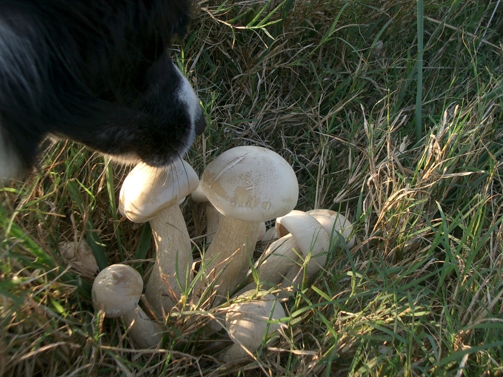 e0128144_05250661.jpg