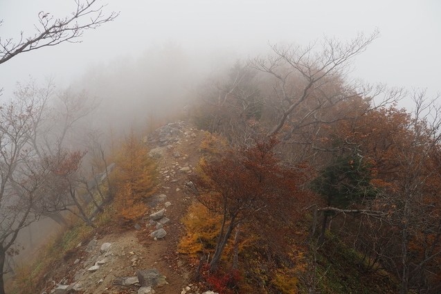 b0189948_15365746.jpg