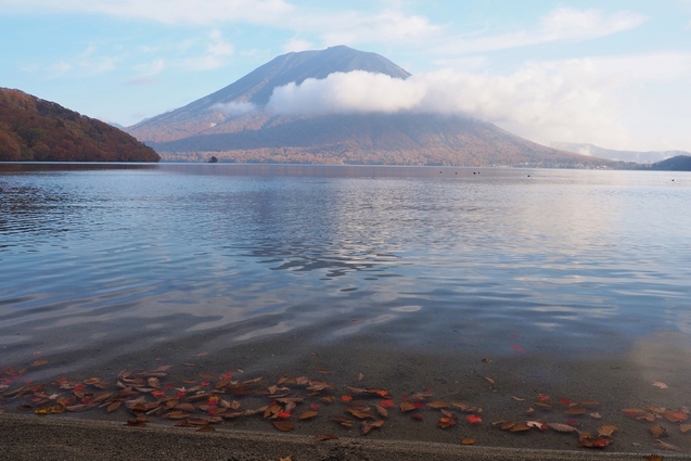 2018/10/26 社山_b0189948_1550163.jpg